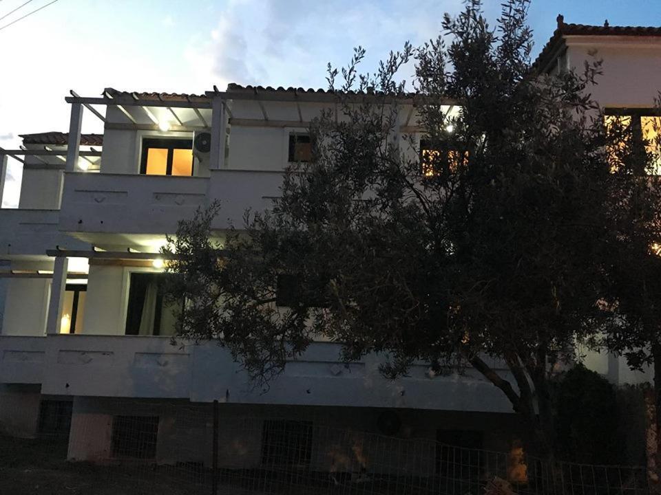 Chalkiotis Hotel Anaxos Exteriér fotografie